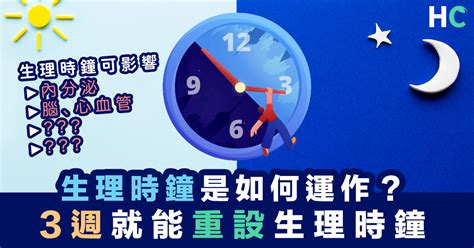 身體時鐘|「晝夜節律」與「生理時鐘」 